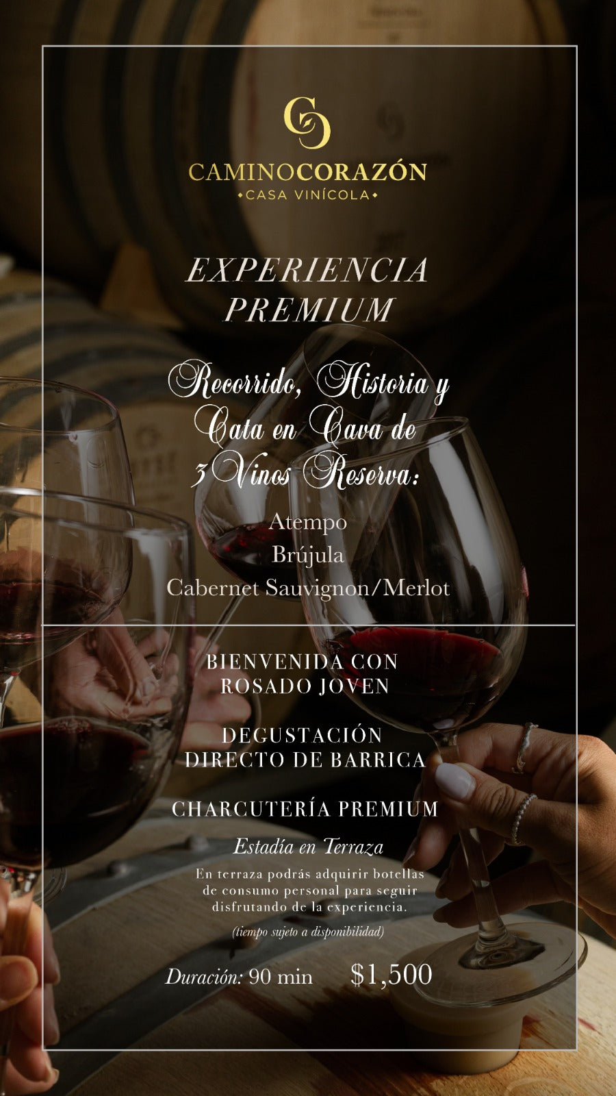 Tour + Experiencia Premium x Persona