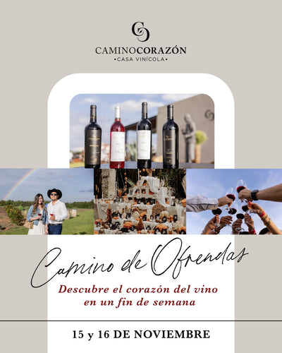 Boleto Camino de Ofrendas Catrinas