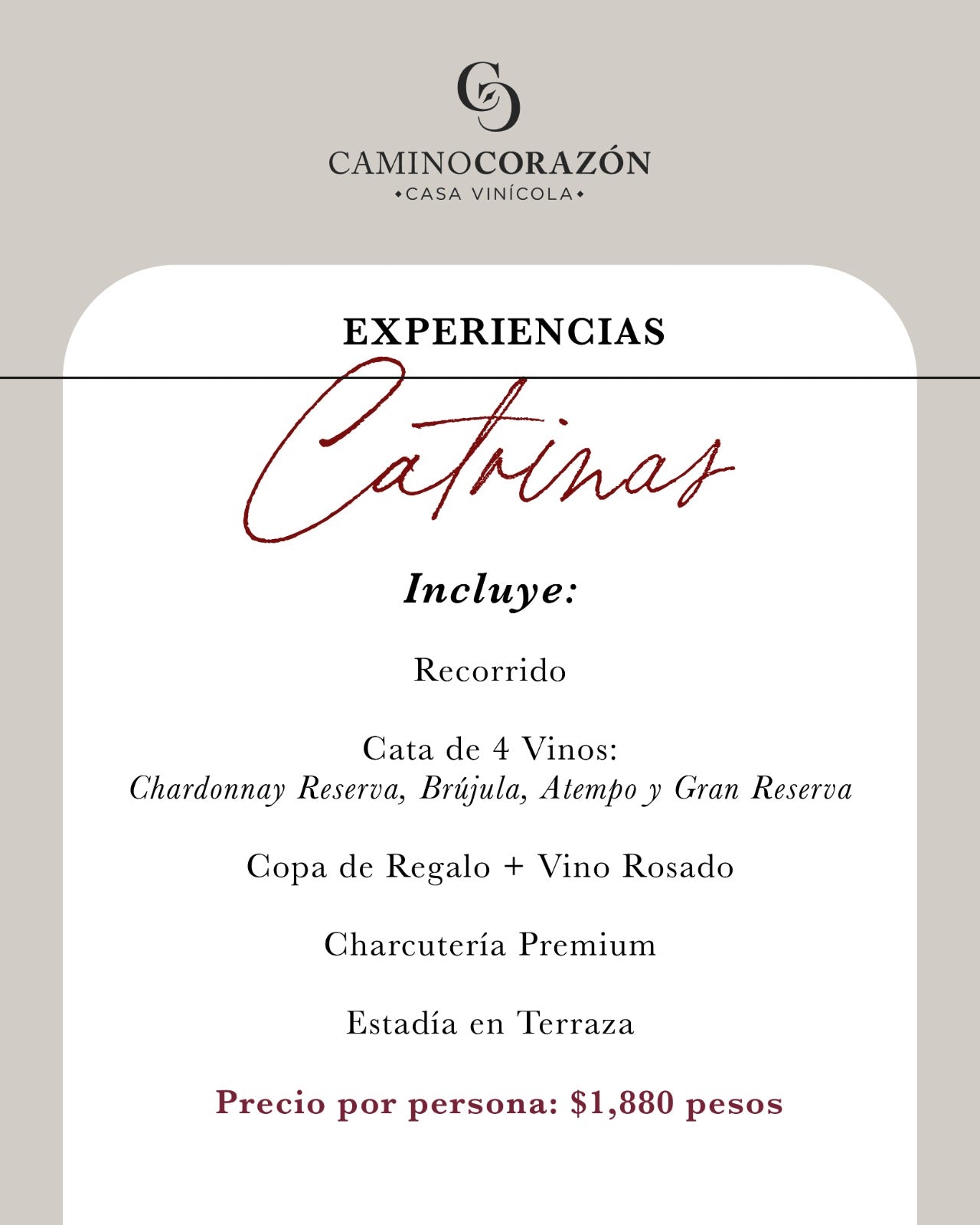 Boleto Camino de Ofrendas Catrinas